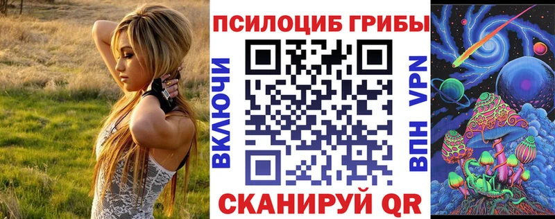 Псилоцибиновые грибы Psilocybe  купить закладку  Апрелевка 